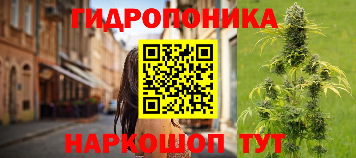 Бошки Шишки Bruce Banner  Вход с VPN  Бошки марихуана план  Луга  Шишки марихуана конопля 